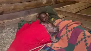 Our First Night with Bumpy the Orphaned Hippo | Sheldrick Wildlife Trust
