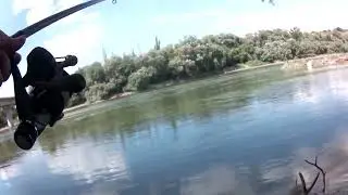 ловля уклейки и подлещиков на  реке в августе