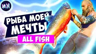 Вся рыба в игре Assassin's Creed Valhalla