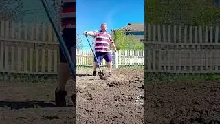 танцуют все