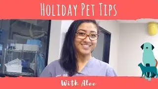 Holiday Pet Tips with Alee