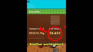 Another world record 