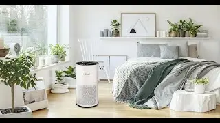 LEVOIT Air Purifier for Home | #Levoit | #Home