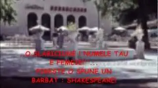Eu pe un drum,tu pe alt drum! Lilly Vizante