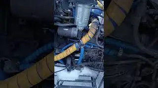 болотоход сокол росомаха