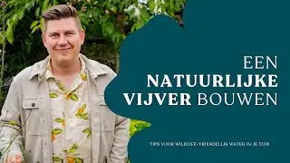 How to build a natural pond: tips for wildlife-friendly water in your garden I Angelo Dorny