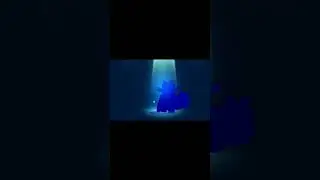 забрал тимэйта 🦀