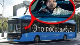 STALCRAFT | НЕРЕАЛЬНЫЙ СОЛО ГЕЙМПЛЕЙ НА ПЕРЕСТРОЙКЕ
