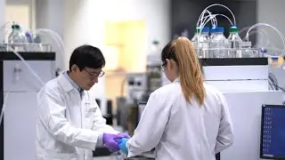 How to find molecular weight using Shimadzu Gel Permeation Chromatography GPC system