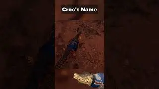 The name of our pet crocodile