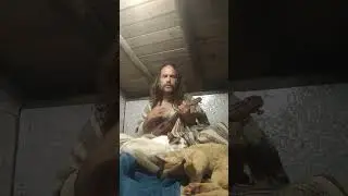Ukulelando 