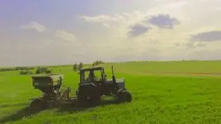 Подкормка яр. пшеницы аммиачной селитрой.