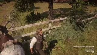 Red Dead Redemption 2_20181031205929