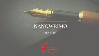 NaNoWriMo Day 20 - Catching Up!