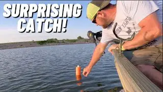 YOU WON'T BELIEVE WHAT WE CAUGHT JUG LINE FISHING WITH POOL NOODLES!