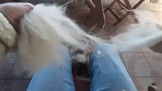 Technique du filage de laine sur rouet