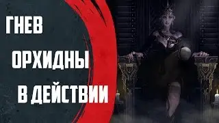 ArchAge 3.0 - Гнев Орхидны В Действии