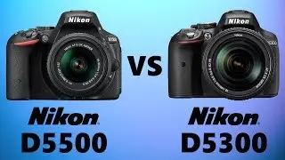 Nikon D5500 vs Nikon D5300