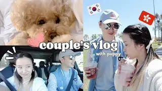 [Korea & Hong Kong Couple] weekend date with puppy 🐶