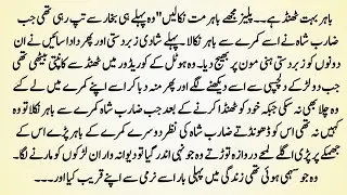 Urdu Novel 