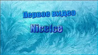 Первое Видео