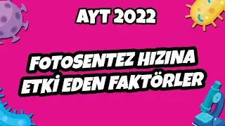 AYT Biyoloji - Fotosentez Hızına Etki Eden Faktörler | AYT Biyoloji 2022 
