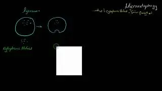 میکرواتوفاژی-microautophagy-پاتولوژی