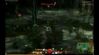 GW2 Brute Force Personal Story Vigil Order Part 1