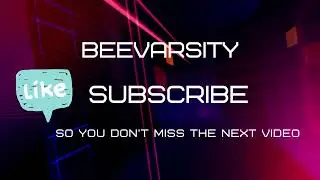 Beevarsity 1-2-1 Academic Coaching