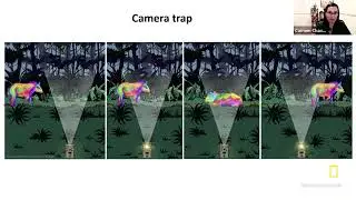 Explorer Classroom | I See You! Amazon Camera Traps and More with Carmen Chavez