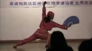 太极中国功夫扇