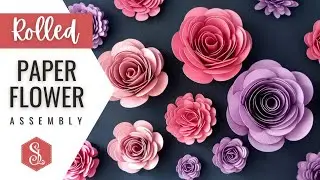 Rolled Paper Flowers - 3D Papercraft Assembly Tutorial 🌸