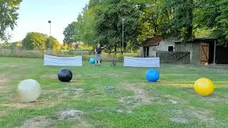 Treibball mit Batida