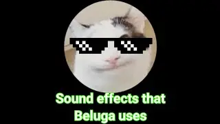 Sound effects that Beluga uses...