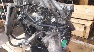 OM 602-662-(01)(61)(03), etc. Mercedes. Engine Wobbling. (Reason)
