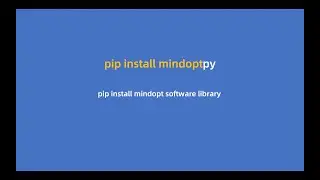 Install an Optimization Solver Python library by running the pip install mindoptpy command
