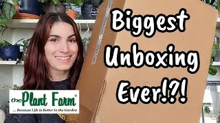 BIGGEST UNBOXING YET!! 😍 Hoya Mail From The Plant Farm!! 7 gorgeous Hoya in one box 🌿