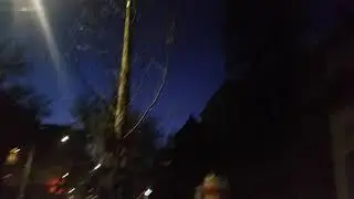 Intr-o dimineata oarecare, prin Bucuresti.