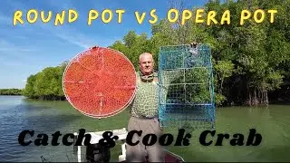 Catch & Cook Crab