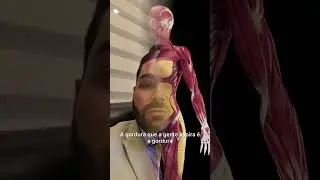 Lipoescultura emagrece?