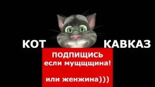 Кот Кавказ   Три в одном 14