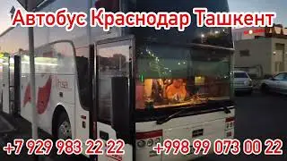Автобус Краснодар Ташкент пассажирский перевозки, Краснодар Ташкент, Краснодар Ташкент автобус, 2023