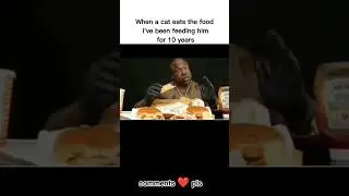 Cat eats food for 10 years
