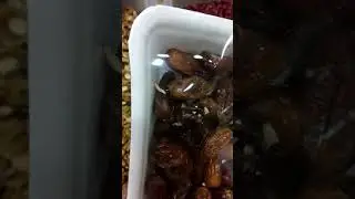 гипермаркет МАГНУМ по Талгарской трассе .Это просто ШОК!!!!!
