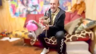 Люська ПРОДОЛЖАЕТ ЧУДИТЬ и веселить нас, но дом накрывается ''медным тазом''!
