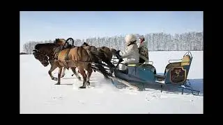 29 декабря 2021 г.