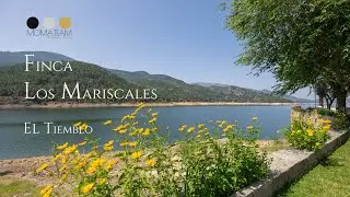 Finca Los Mariscales El Tiemblo MOMA TEAM Rocío Aladro