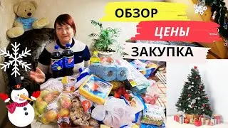 Обзор покупок. Цены и Акции в супермаркетах 