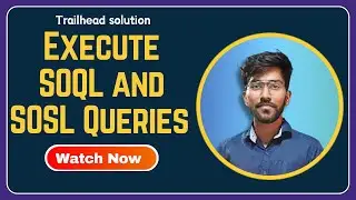 Execute SOQL and SOSL Queries | Salesforce Developer | Techlok