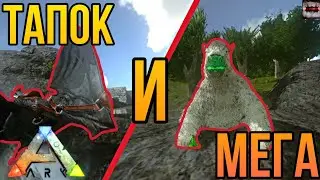 ПРИРУЧЕНИЕ ТАПКА И ДАНЖ МЕГАТЕРИЯ! ARK Mobile